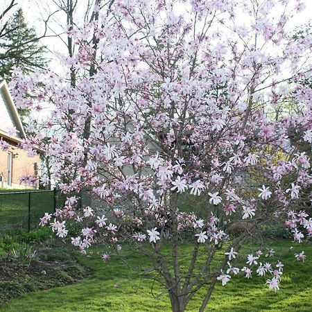Carrousel Bed & Breakfast Cayuga Zewnętrze zdjęcie