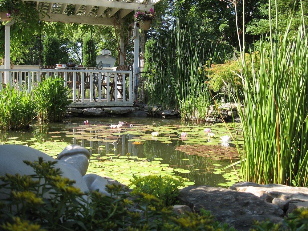 Carrousel Bed & Breakfast Cayuga Zewnętrze zdjęcie