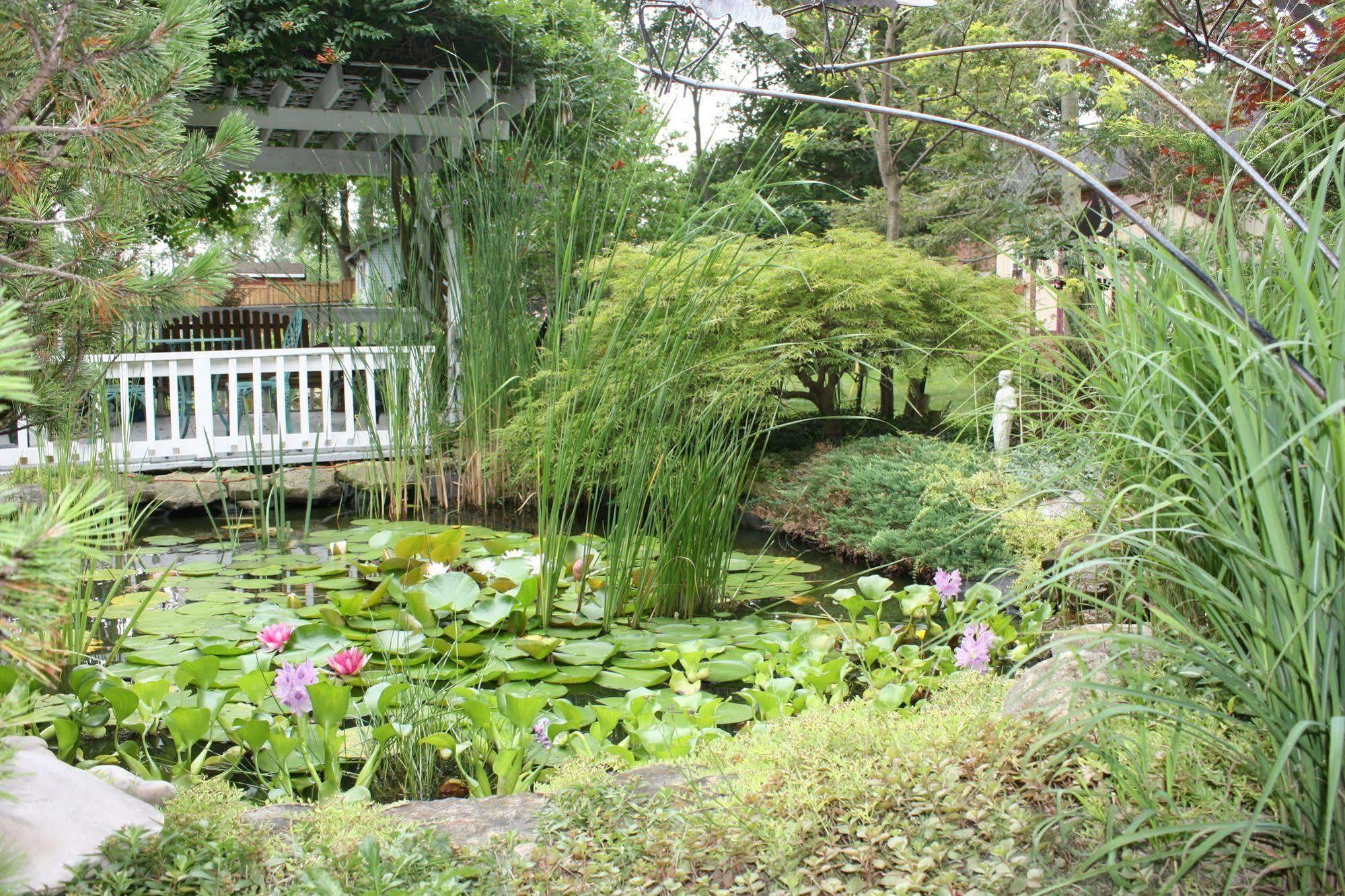 Carrousel Bed & Breakfast Cayuga Zewnętrze zdjęcie